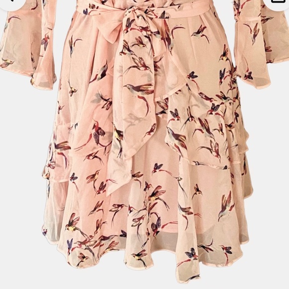 NWOT Millibon pretty Hummingbird dress Sheer Layers fitted top flouncy bottom - Picture 2 of 9